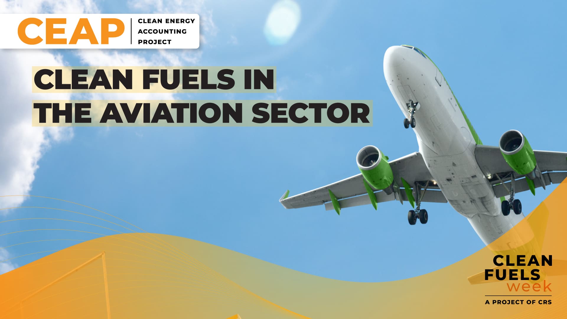 Clean Fuels in the Aviation Sector