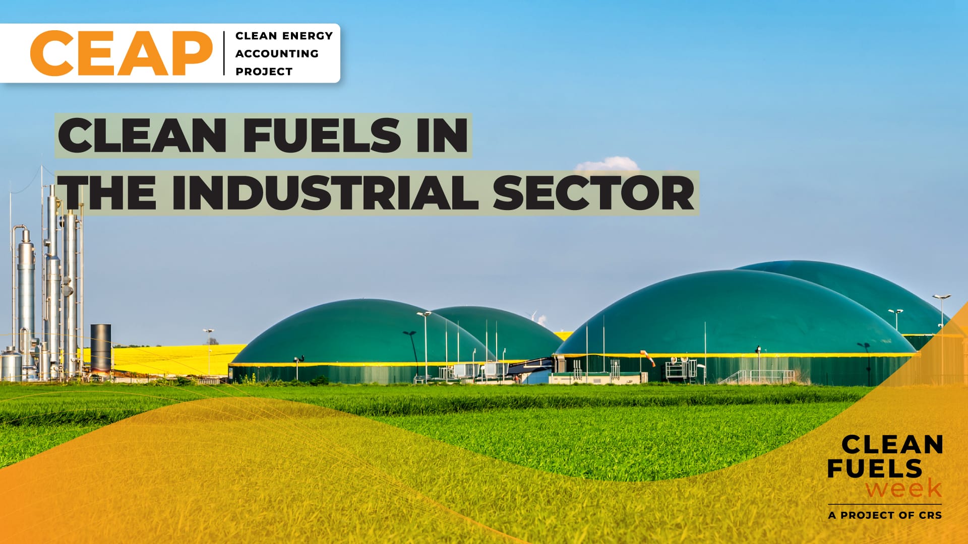 Clean Fuels in the Industrial Sector