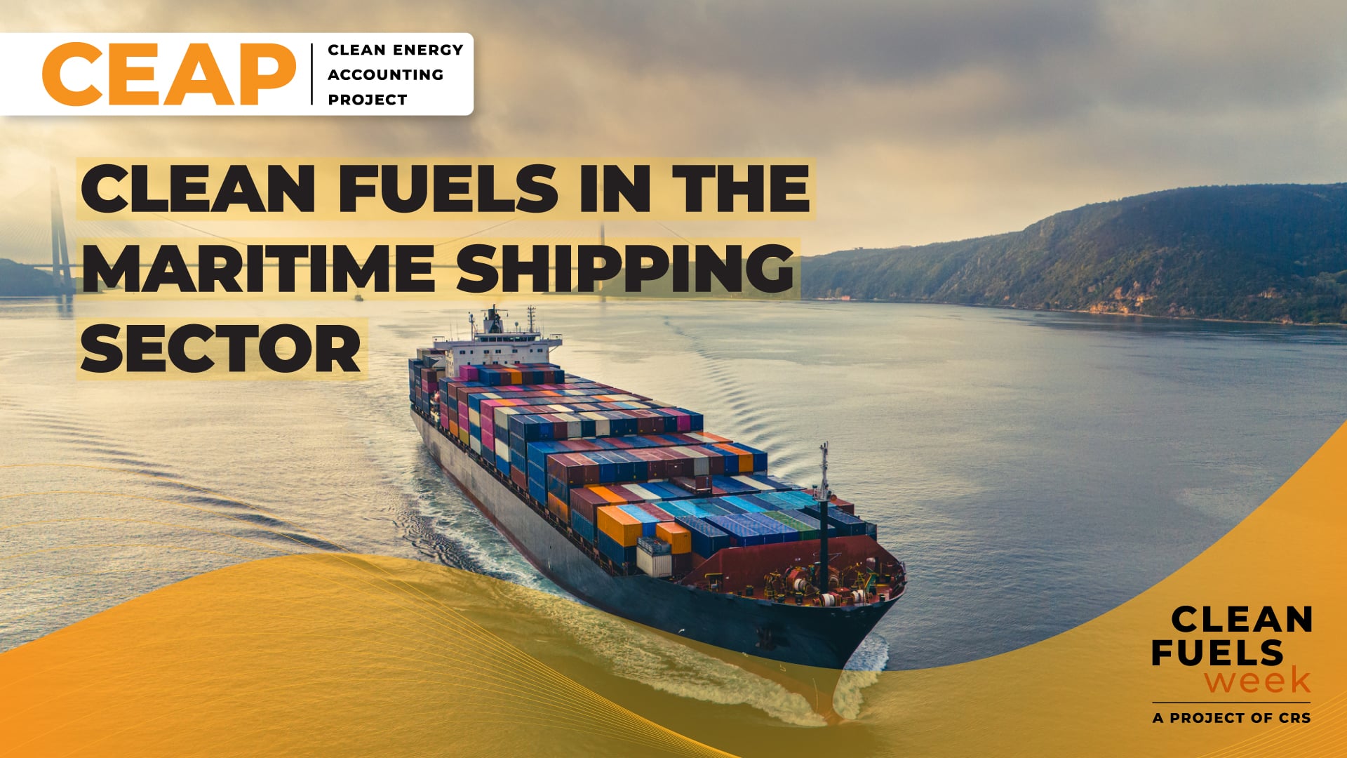 Clean Fuels in the Maritime Shipping Sector