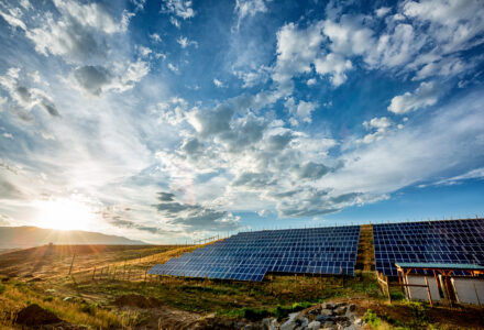 Field Of Solar Panels In A Rural Setting